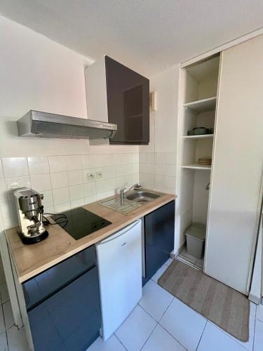 une cuisine avec un évier et un plan de travail dans l'établissement Studio cosy, lumineux Avignon, à Avignon