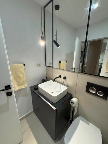 a bathroom with a sink and a toilet and a mirror at Cozy Studio Sulina in Sulina