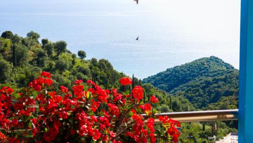 Billede fra billedgalleriet på Selami Sea View Apartments i Lukovë