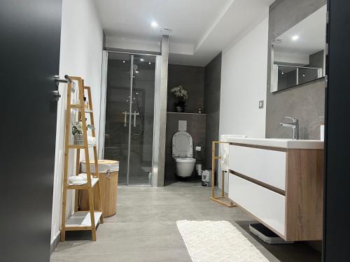 une salle de bain avec toilettes, lavabo et douche dans l'établissement Appartement plain-pied en Alsace, à Mittelwihr