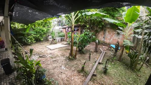 a garden with trees and plants in a yard at Capibara guest house in Leticia