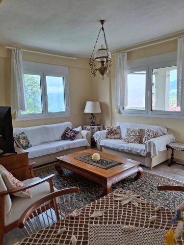 Гостиная зона в 4BR Trekkers Retreat in Spilaio Grevena