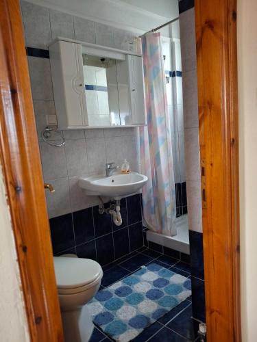 Ванная комната в 4BR Trekkers Retreat in Spilaio Grevena