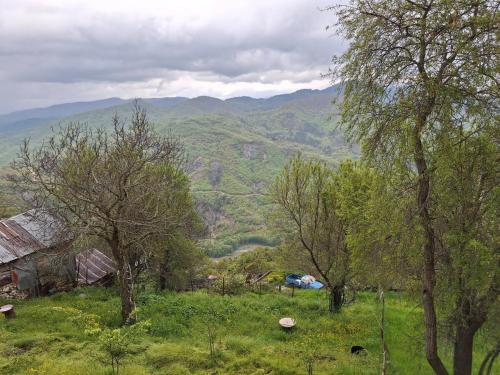 Природа в окрестностях дома для отпуска