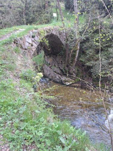Naturlandschaft in der Nähe of country house
