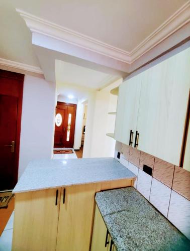 Dapur atau dapur kecil di CMC Apartment with FREE Airport Pickup مع خدمة التوصيل المجانية من المطار
