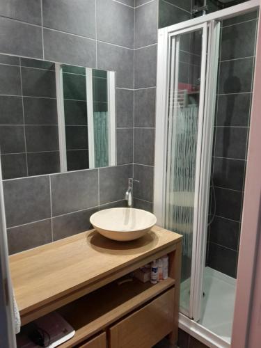 une salle de bain avec un lavabo et une douche dans l'établissement le montagne, à Briançon
