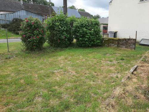 Photo de la galerie de l'établissement Emplacement libre a la campagne, à Saint-Gobert