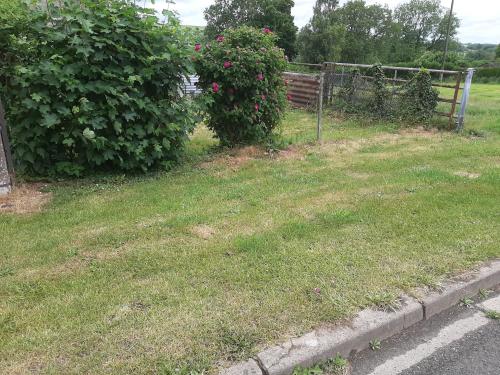 Photo de la galerie de l'établissement Emplacement libre a la campagne, à Saint-Gobert