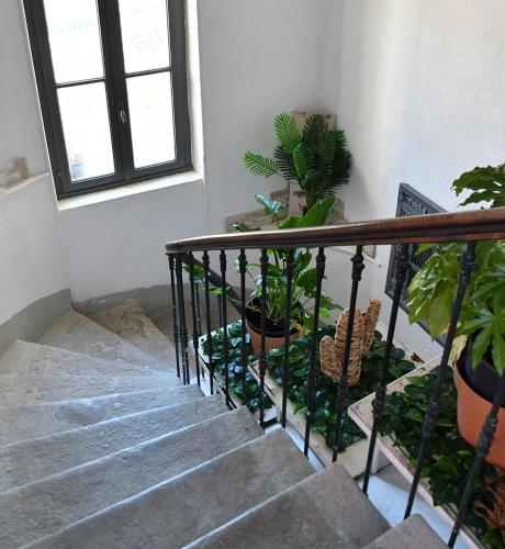 Photo de la galerie de l'établissement La terrasse de la cèze, à Bagnols-sur-Cèze