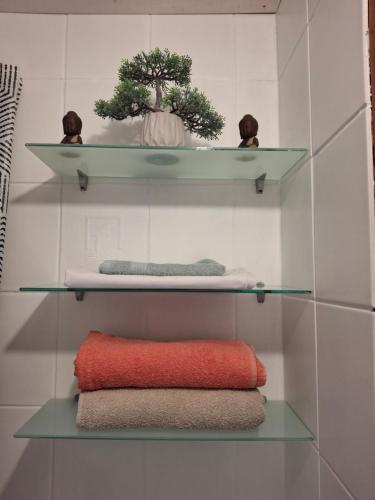 a shelf with three towels and a plant on it at Kalda tee 12 Apartment in Tartu