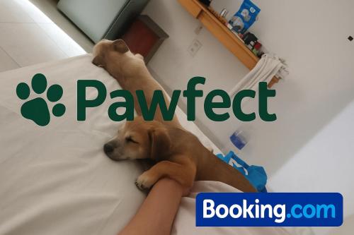 Domácí mazlíčci ubytovaní s hosty v ubytování Pawfect Dining & Stay Pet Friendly Hotel in Da Lat