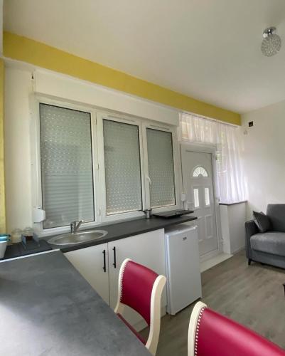 a kitchen with a sink and a couch in a room at Apartman Vera 