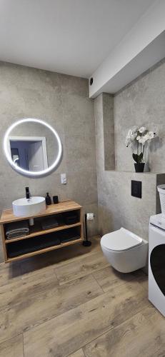 a bathroom with a sink and a toilet and a mirror at Baltic Harmony Villas - Grzybowo in Grzybowo