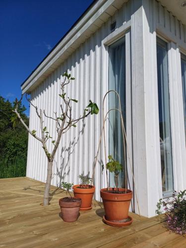 three potted plants sitting on a deck next to a building at Nybyggd gäststuga in Färjestaden