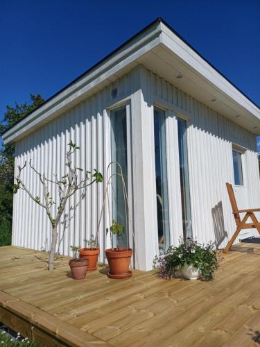 a small house with potted plants on a wooden deck at Nybyggd gäststuga in Färjestaden