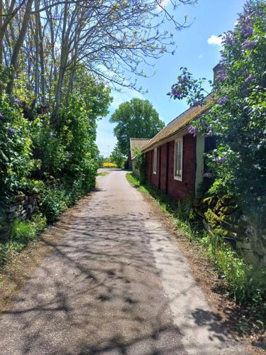 a dirt road next to a house and a building at Nybyggd gäststuga in Färjestaden