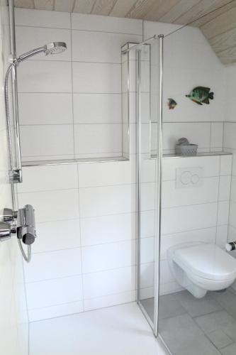 a bathroom with a shower and a toilet at Ferienhaus Rurberger Ruhe in Simmerath