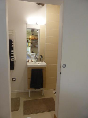 a bathroom with a sink and a mirror at Chambre d'hôte Les Papillons - Chez Gilles et Myriam in Samadet