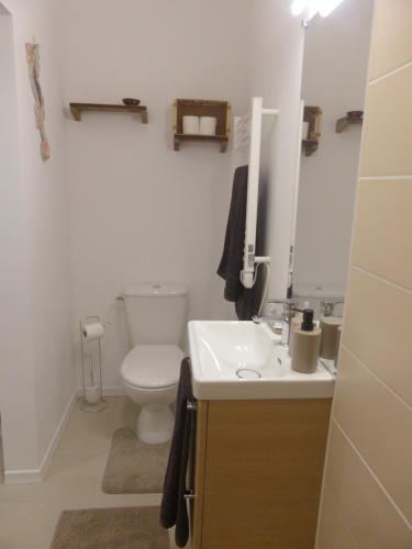 a bathroom with a white toilet and a sink at Chambre d'hôte Les Papillons - Chez Gilles et Myriam in Samadet