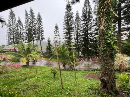 Zahrada ubytování Infinity pines tagaytay