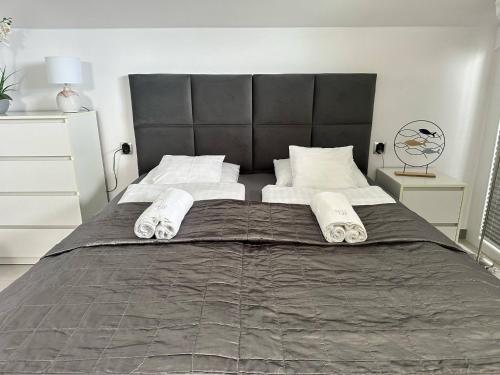 Katil atau katil-katil dalam bilik di Willa Dobryłko II -Apartamenty