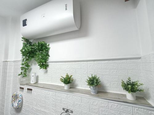 a bathroom with potted plants on a sink at 20 VENTI in Angolo Terme
