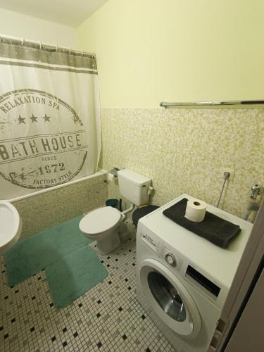 a bathroom with a toilet and a washing machine at Freddy in Lörrach