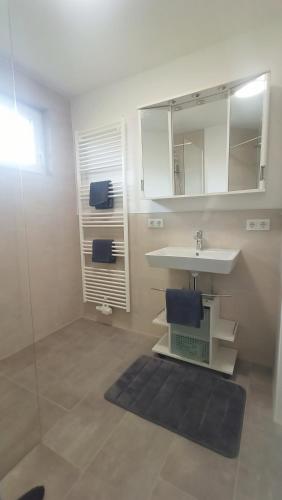a bathroom with a sink and a mirror at Fenland Mill Ranch in Wolthausen
