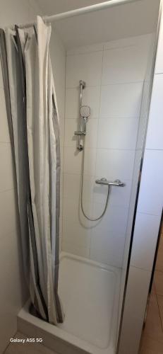a shower with a glass door in a bathroom at Apartmani BRNADA in Trogir