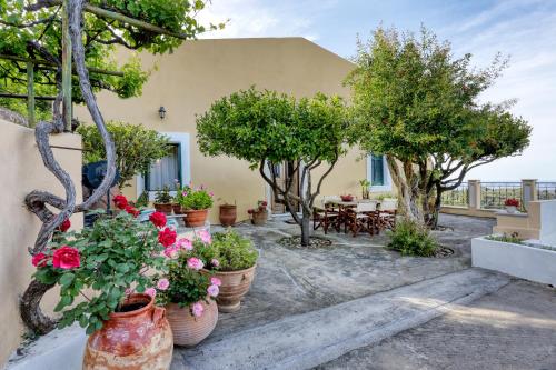a patio with potted plants and tables and trees at Archontiko Lastros in Lástros