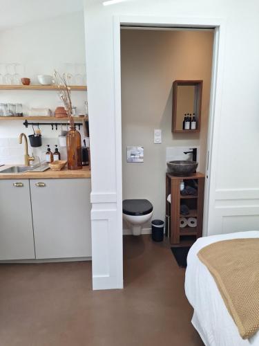 une salle de bain avec un lavabo et des toilettes dans une chambre dans l'établissement Studio de charme et spa de nage, à La Celle-sous-Gouzon