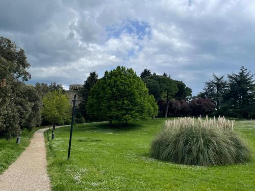 a path in a park with grass and trees at Casa Castello in Volterra