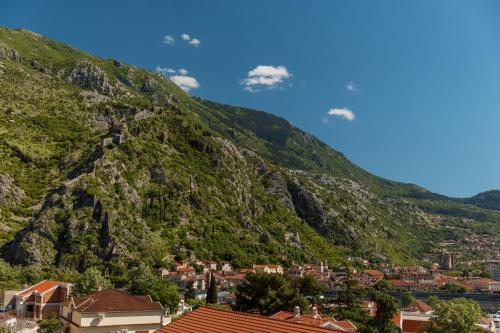 a mountain with a town in front of it at Apartments Los Olivos in Kotor