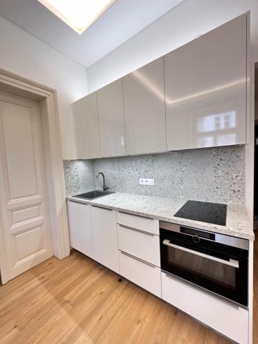 Cuisine ou kitchenette dans l'établissement Old Town Prague Apartment