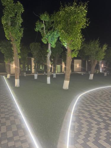 Κήπος έξω από το EVE garden