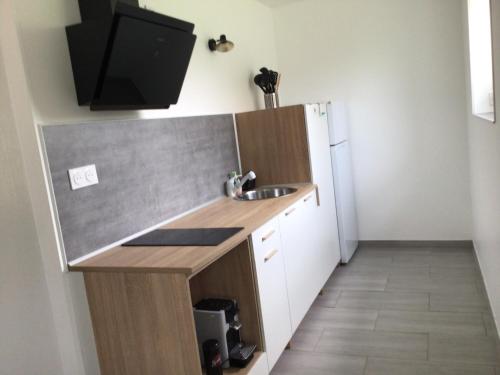 a small kitchen with a sink and a refrigerator at Maison à la campagne, proche de Guingamp in Ploumagoar