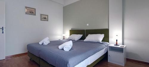 Down Town Flat Apartment