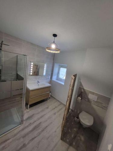 une salle de bain avec une douche, des toilettes et un lavabo dans l'établissement Domaine de LOLI, à Saint-Girons