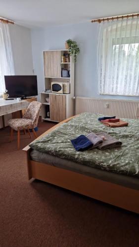 a bedroom with a bed and a desk and a television at Pension Glück Auf in Brand-Erbisdorf