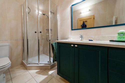 La salle de bains est pourvue d'une armoire verte et d'une douche. dans l'établissement Studio dans Maison forte, 8km Sarlat, à Saint-André-dʼAllas