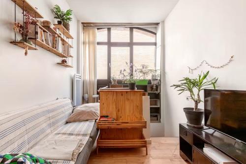 un salon avec un canapé et une télévision dans l'établissement Logement de charme aux Carmes, à Toulouse