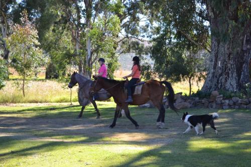 zwei Frauen, die mit einem Hund auf Pferden reiten in der Unterkunft Forellenhof Guest Farm in Wakkerstroom