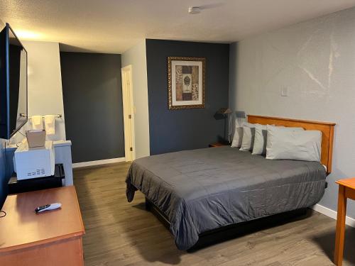 a hotel room with a bed and a television at Oasis Inn and Suites in Fallon