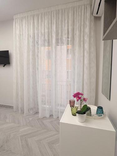 Max Fox Suite