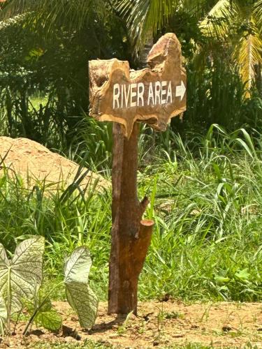 Κήπος έξω από το Paramount Safari Cottage