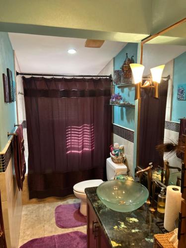 een badkamer met een wastafel, een toilet en een douche bij Blue Orchid Palms in Nassau