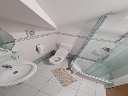 a bathroom with a shower and a toilet and a sink at Apartments Pansion Franka 3 - Apartment 12 in Brist