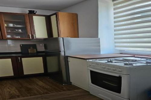 a kitchen with a stove and a refrigerator at Apartment Gracac - Two Bedroom Apartment with Terrace in Gračac
