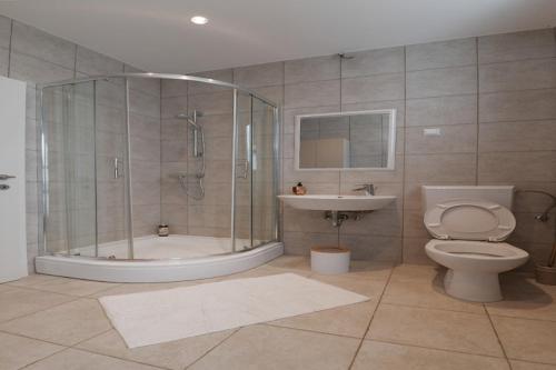 a bathroom with a shower and a toilet and a sink at Holiday Home Lea - Three Bedroom Holiday Home with Terrace and Sea View in Maslinica